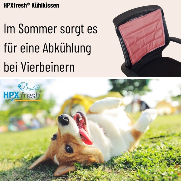 HPXfresh Khlkissen